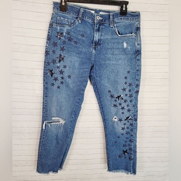 Anthropologie Denim - PILCRO & THE LETTERPRESS SLIM BOYFRIEND RAW HEM JEANS, sz 29